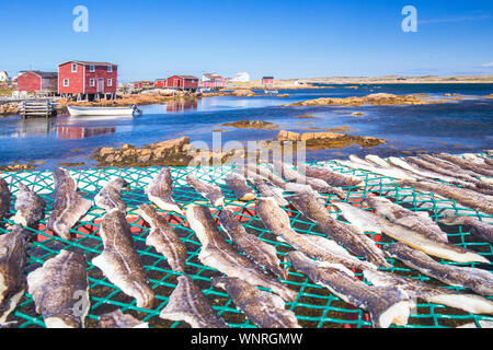 Das Fischerdorf Joe Batt's Arm, Fogo Island, Neufundland und Labrador, Kanada Stockfoto