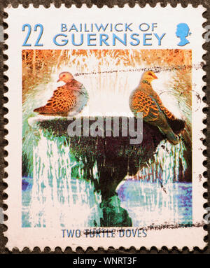 Weihnachten zwei Turteltauben auf Briefmarke von Guernsey Stockfoto