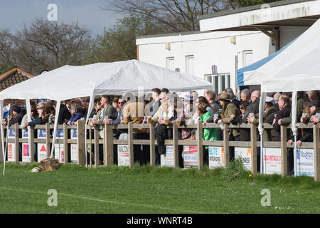 Amateur Rugby Club Unterstützer pack den Zaun local Derby zu sehen Stockfoto