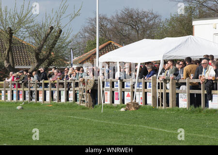 Amateur Rugby Club Unterstützer pack den Zaun local Derby zu sehen Stockfoto