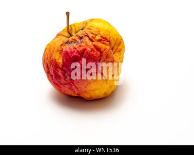 Verknittert, gealtert, getrocknet, und Apple mit allen Anzeichen der Abnahme auf weißem Hintergrund. Selektive konzentrieren. Stockfoto