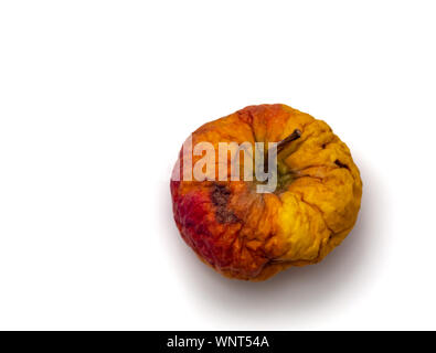 Verknittert, gealtert, getrocknet, und Apple von oben mit allen Anzeichen der Abnahme auf weißem Hintergrund. Stockfoto