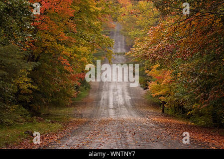 Landstraßen vorbei an endlosen bunten Herbstlaub im Herbst mal in New England. Bunte Blätter Frame ändern die Feldwege; leaf peeping Stockfoto