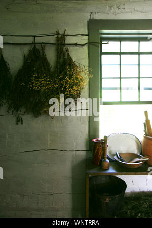 Blumen Trocknen durch Fenster auf der Farm in Upstate New York Stockfoto