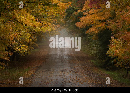 Landstraßen vorbei an endlosen bunten Herbstlaub im Herbst mal in New England. Bunte Blätter Frame ändern die Feldwege; leaf peeping Stockfoto