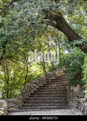 Vertikaler Stein Treppe nach rechts und eingerahmt von Baum. Stockfoto