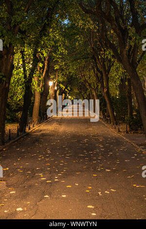 Herbst Szene auf eine Gasse in Cismigiu Park in Bukarest mit Blätter auf dem Boden Stockfoto