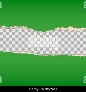 Dekoratives grün zerrissenes Papier als Hintergrund verwenden Stock Vektor