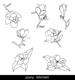 Satz von Kontur Zeichnungen von Magnolia Blumen auf einem weißen Hintergrund. Südliche pflanzen Silhouetten Vector Illustration. Stock Vektor