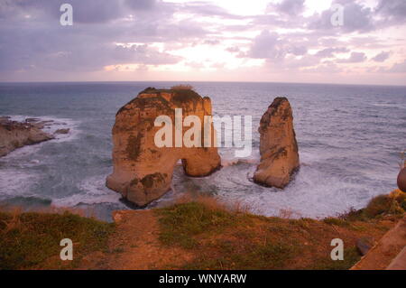 Pigeons Rock Stockfoto