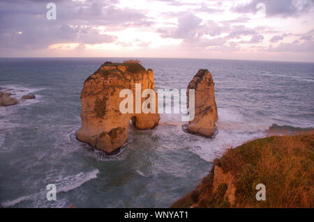 Pigeons Rock Stockfoto