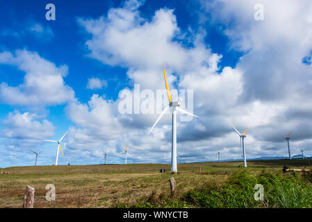 Hawai'i, die grosse Insel, Nord Kahala, Wind Farm Stockfoto