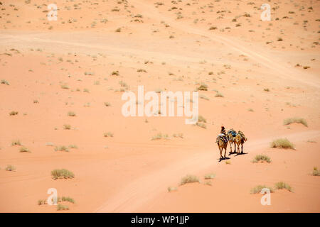 Jordanien, Aqaba Governorate, Wadi Rum. Wadi Rum geschützter Bereich, UNESCO-Weltkulturerbe. Eine bedoiun Mann geht durch die Wüste reiten auf Kamelen. Stockfoto