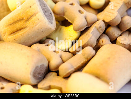 Hundefutter closeup auf weißem Hintergrund Stockfoto