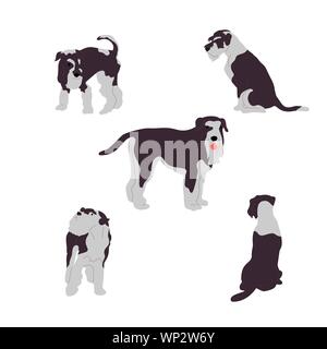 Der Terrier hunde, Sammlung von Hund darstellt. Auf weissem Hintergrund. Flat Style cartoon Vektor Stock Vektor
