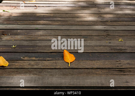 In der Nähe von Holz- Weg mit gelben Blatt hintergrund. Stockfoto