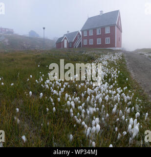 Die bunten Häuser von Rodebay, Grönland. Diese Siedlung liegt auf einer kleinen Halbinsel ragt aus dem Festland in östliche Disko Bucht. Stockfoto