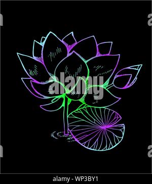 Gradient iIllustration von Lotus Blume im Stil. Farbe Lotus Muster Stock Vektor