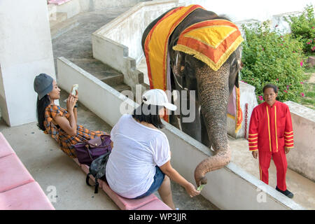 SAMUT PRAKAN, Thailand, 18. Mai 2019, die Zuschauer der tierischen Leistungen Elefanten Geld. Die traditionelle Show mit Elefanten auf offener Szene. Stockfoto