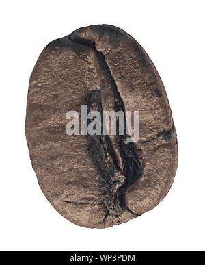 Kaffeebohne Stock Vektor