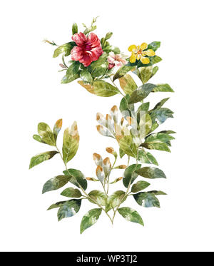Aquarell von Blättern und Blumen auf weißem Hintergrund Stockfoto