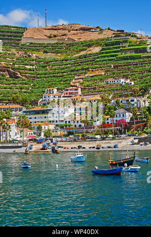 Die Insel Madeira und das Dorf von Camara de Lobos, und Fischerboote in den schönen Hafen, sind von terrassierten Hängen übersehen. Stockfoto