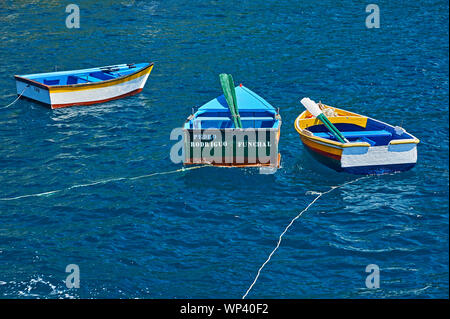 Madeira und bunten Fischerboote im Hafen von Camara de Lobos Stockfoto