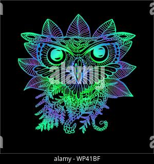 Farbe Abbildung: eine Eule. Zeichnung einer Eule und Anlagen Stock Vektor