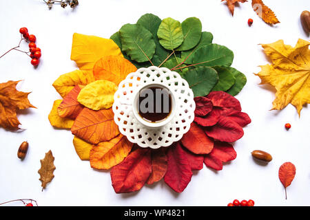 Eine Tasse schwarzer Tee auf dem Hintergrund der bunten Blätter, Eicheln und Rowan Berry. Herbst Design. Stockfoto