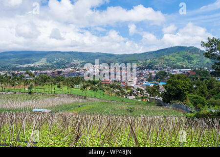 Blick auf den ökologischen Landbau mit perfekten natürlichen Bergdorf in der Nähe Tangkuban perahu Stratovulkan, der Stadt Bandung, die Hauptstadt der Provinz von W Stockfoto