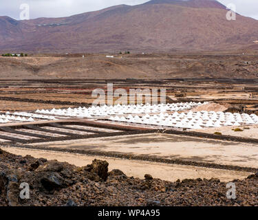 Konische Pfähle von Meersalz in der Saline in Lanzarote, Kanarische Islñands, Spanien mit vulkanischem Gestein im Vordergrund und ein Vulkan Hintergrund Stockfoto