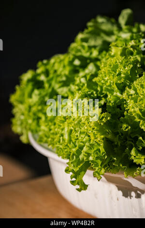 Schale mit frischem Salat close-up Stockfoto