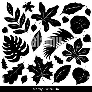 Blätter Silhouetten Sammlung 1. Stock Vektor