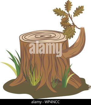 Oak Tree stump Vektor mit Eiche Eicheln und Blätter Zweig auf. Vektor Bild auf weißem für Cartoon Dekoration und Spiel Animationen isoliert Stock Vektor