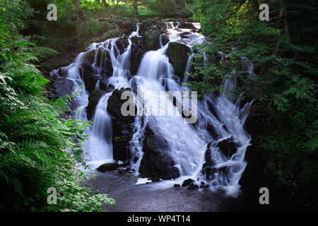 Swallow Falls, Betws-y-Coed, Wales Stockfoto