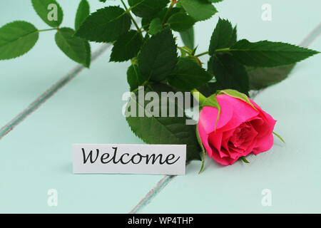 Welcome Card mit einem rosa wild auf Blau Holz- oberfläche Rose Stockfoto