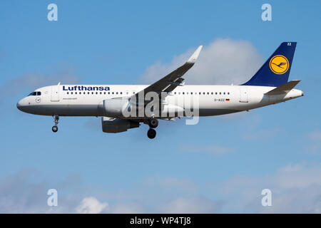 FRANKFURT/Deutschland - 12. AUGUST 2014: Lufthansa Airbus A320 D-AIZZ Passagierflugzeug landen am Flughafen Frankfurt Stockfoto