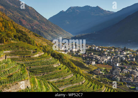 Weinkeller und Weinberge, Berg Tal. Valtellina. Italienische Alpen Stockfoto