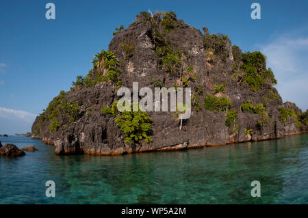 Kalkstein pinnacle Insel mit Coral im Vordergrund, Raja Ampat, West Papua, Indonesien Stockfoto