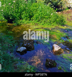 Der Fluss fließt durch Lathkill Lathkill Dale unten Über Haddon in der Derbyshire Dales UK Stockfoto