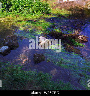 Der Fluss fließt durch Lathkill Lathkill Dale unten Über Haddon in der Derbyshire Dales UK Stockfoto