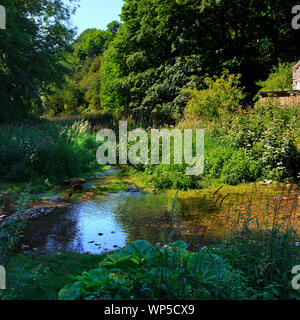Der Fluss fließt durch Lathkill Lathkill Dale unten Über Haddon in der Derbyshire Dales UK Stockfoto