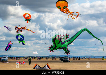 Lytham St Annes on Sea, Lancashire. UK Wetter. 7. September 2019. Die neu festgelegten Lytham Kite Festival erhält unterwegs auf den unberührten Stränden von The Fylde coast. Das Display Teams waren konfrontiert mit Licht onshore Wind zu Beginn des Spektakels ist der Tag, als Tausende von Menschen werden voraussichtlich im Herbst Veranstaltung zu besuchen. Kredit; MediaWorldImages/AlamyLiveNews Stockfoto