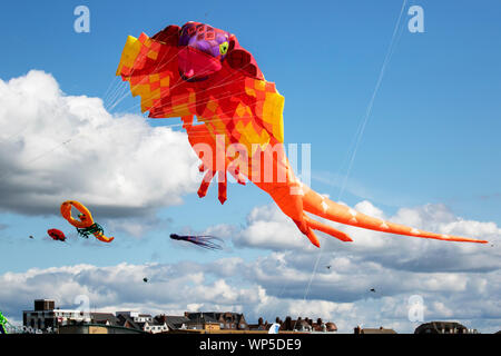 Lytham St Annes on Sea, Lancashire. UK Wetter. 7. September 2019. Die neu festgelegten Lytham Kite Festival erhält unterwegs auf den unberührten Stränden von The Fylde coast. Das Display Teams waren konfrontiert mit Licht onshore Wind zu Beginn des Spektakels ist der Tag, als Tausende von Menschen werden voraussichtlich im Herbst Veranstaltung zu besuchen. Kredit; MediaWorldImages/AlamyLiveNews Stockfoto