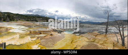 Mammoth Hot Springs Panoramaaussicht, Yellowstone National Park. Stockfoto