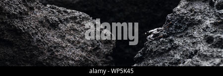 Abstrakte panorama Der Marmorierte Rock Crab (Pachygrapsus Marmoratus) auf der schwarzen Lava basalt Küste Felsformationen an der östlichen Küste von Sao Migue Stockfoto