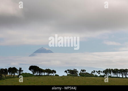 Den Berg Pico, Ponta do Pico mit Wolken Schicht als vom Castelo de São Jorge Insel gesehen Stockfoto