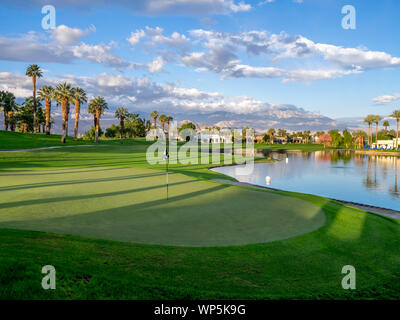 Palmen auf einem Golfkurs in einem Resort in Palm Desert, Kalifornien. Stockfoto