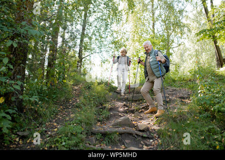 Reifer Mann und Frau mit Trekking Stöcke bewegen bergab in den Wald Stockfoto