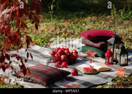 Herbst warme Tage. Indian Summer. Picknick im Garten - Decke und Kissen von Grau, Burgund und Grün Farbe auf dem Hintergrund der Blätter im Herbst. Sele Stockfoto